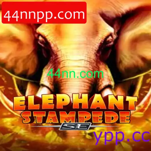 ElephantStampedeSE
